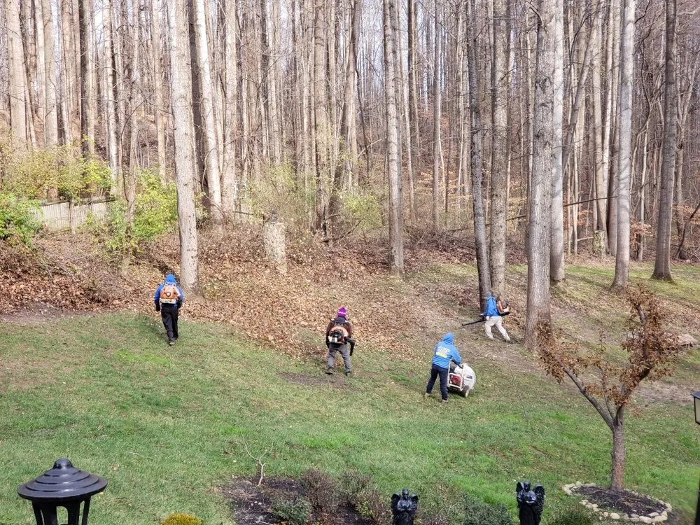 Custom lawn mowing service for year-round maintenance across Fort Washington, MD - D&Y Contractors