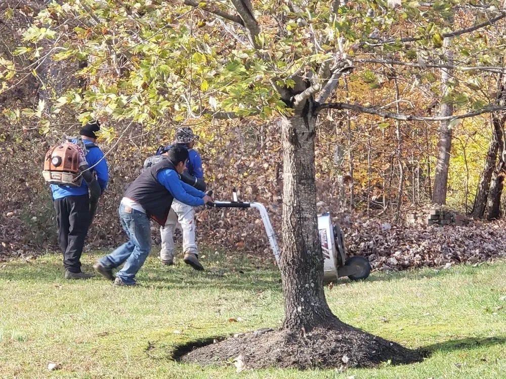 Reliable landscape installation experts serving Fort Washington, MD - D&Y Contractors