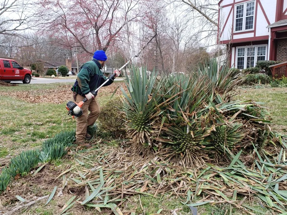 Reliable landscape design in Fort Washington, MD by D&Y Contractors