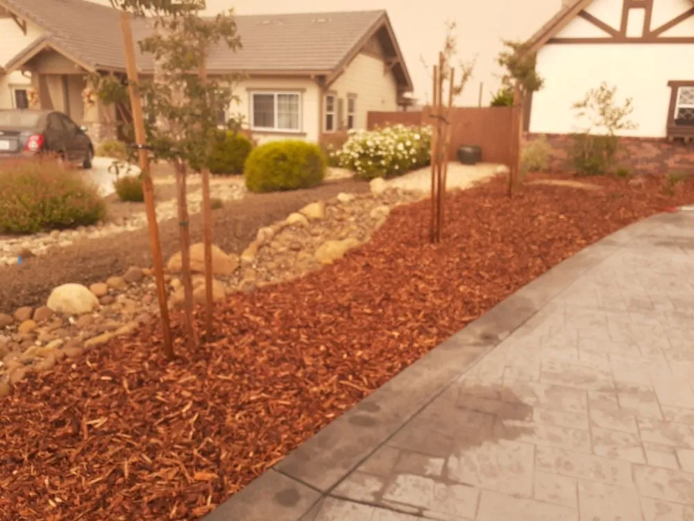Expert yard maintenance for homes in Lompoc, CA by D&Y Landscape Out Door Constrution