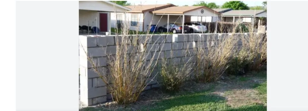 Custom landscape design in Lompoc, CA - D&Y Landscape Out Door Constrution