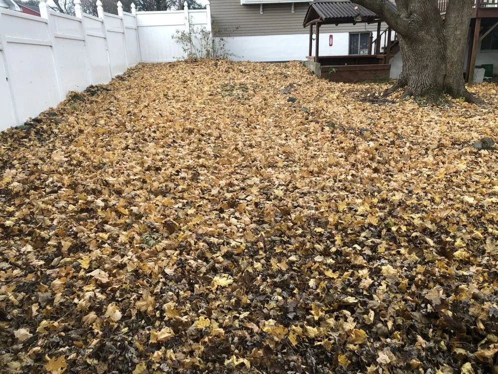 Professional yard maintenance for beautiful yards in Allentown, PA by D&Y Landscaping & Painting