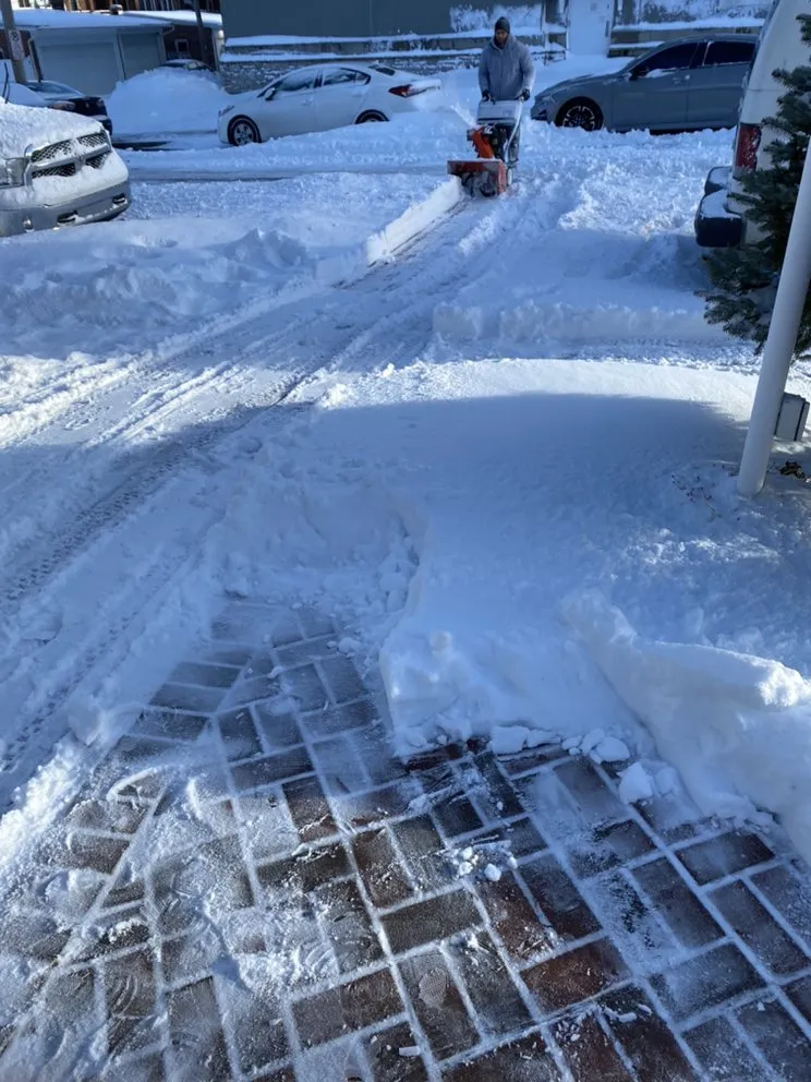 Reliable lawn mowing service for beautiful yards in Allentown, PA by D&Y Landscaping & Painting