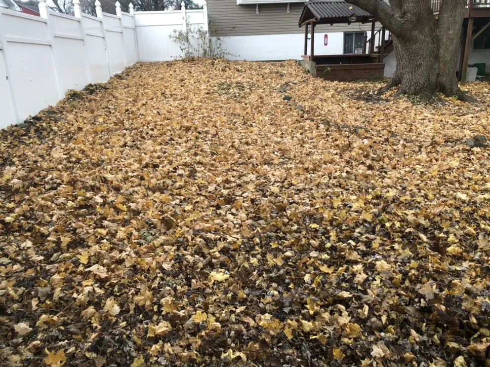 Top-rated lawn care service in Allentown, PA by D&Y Landscaping & Painting