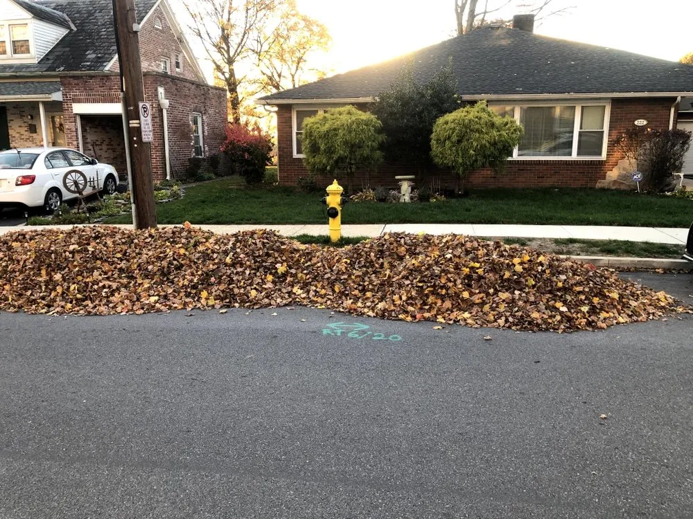 Professional lawn mowing service for year-round maintenance in Allentown, PA by D&Y Landscaping & Painting