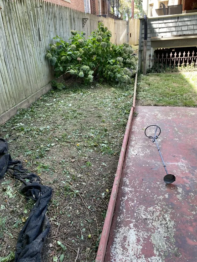 Custom lawn care service in Allentown, PA - D&Y Landscaping & Painting