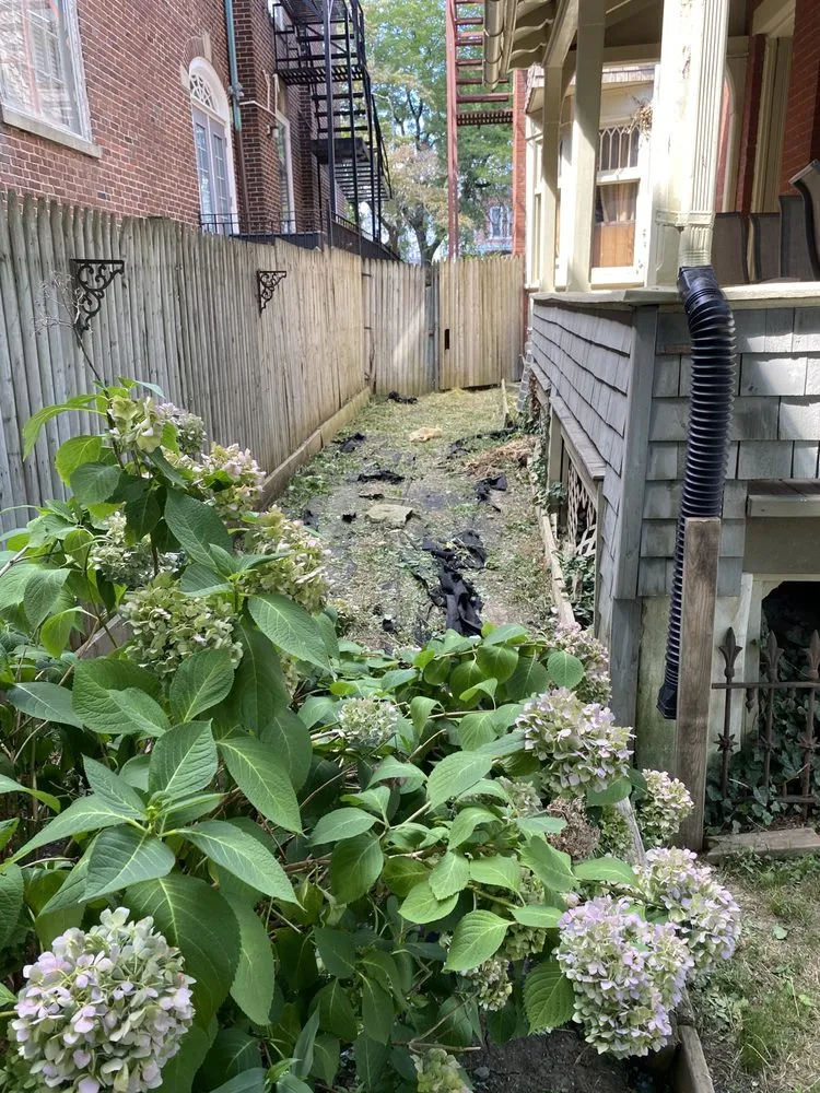 Local yard maintenance experts serving Allentown, PA - D&Y Landscaping & Painting