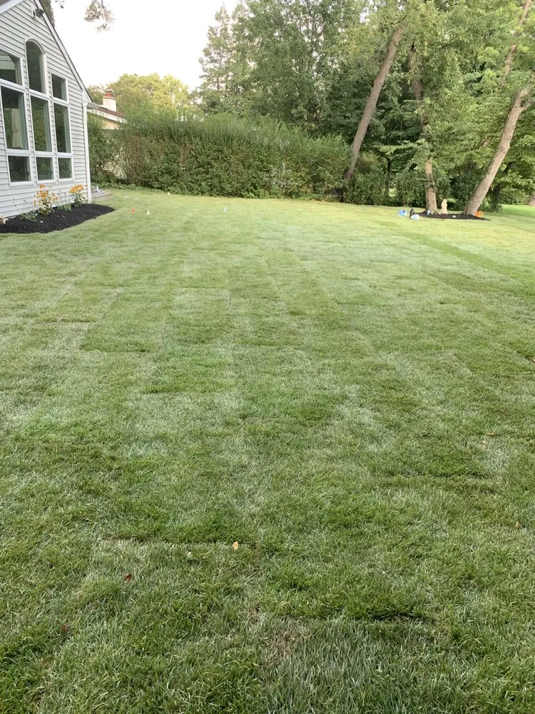 Reliable lawn care service with custom design across Pennsauken, NJ - D&Y Landscaping