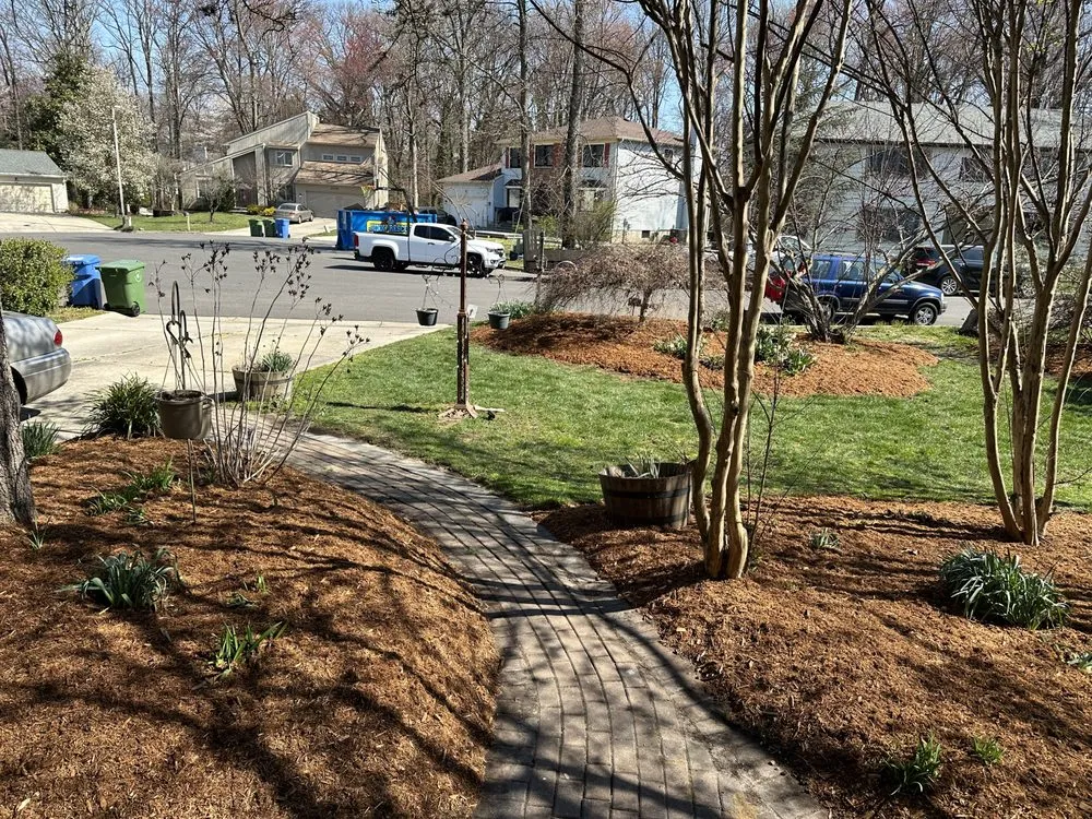 Professional yard cleanup service in Pennsauken, NJ by D&Y Landscaping