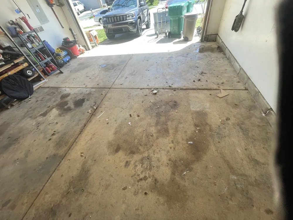 Expert outdoor landscaping for year-round maintenance across Indianapolis City, IN - Dycus Detailing
