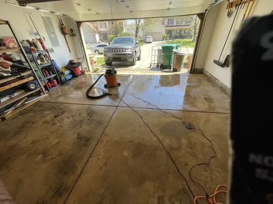 Dycus Detailing Logo