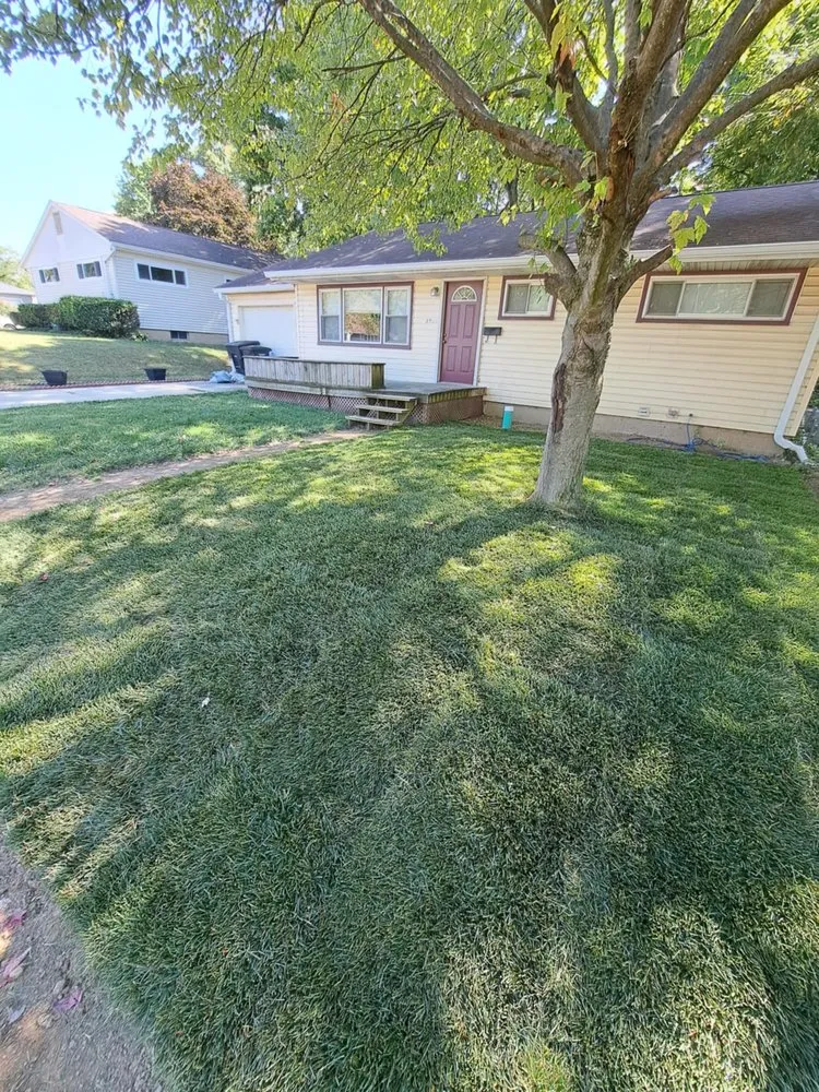 Custom lawn care service experts serving Lafayette, IN - Dyer Does It