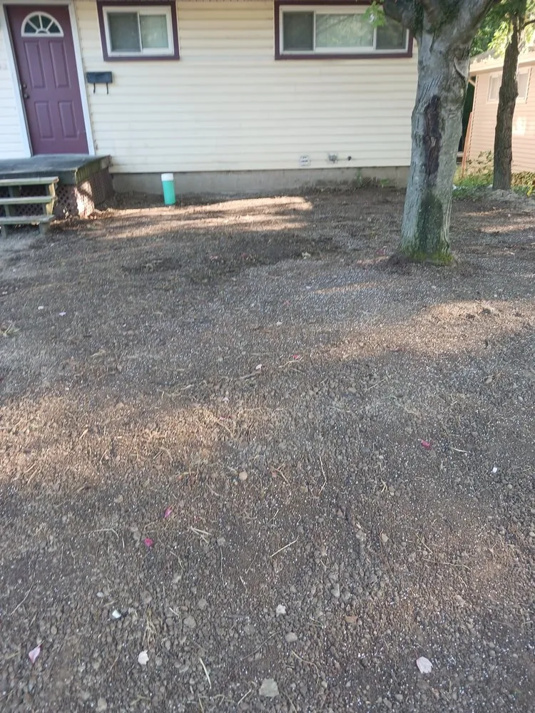 Affordable landscape design for residential properties across Lafayette, IN - Dyer Does It