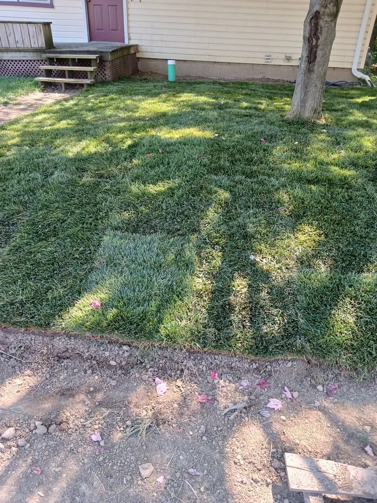 Affordable landscape installation in Lafayette, IN by Dyer Does It