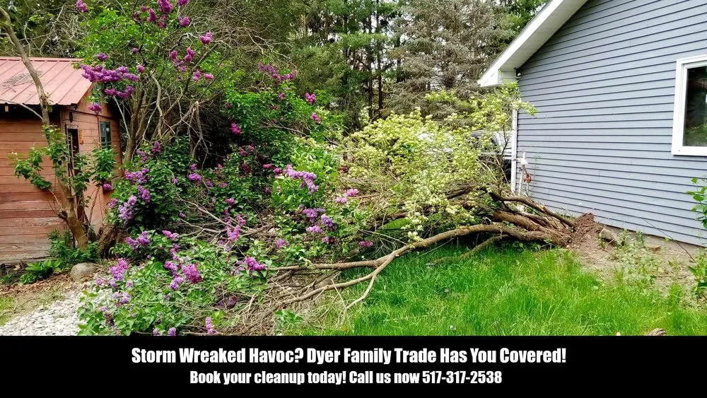 Affordable landscape design experts serving Coldwater, MI - Dyer Family Trade