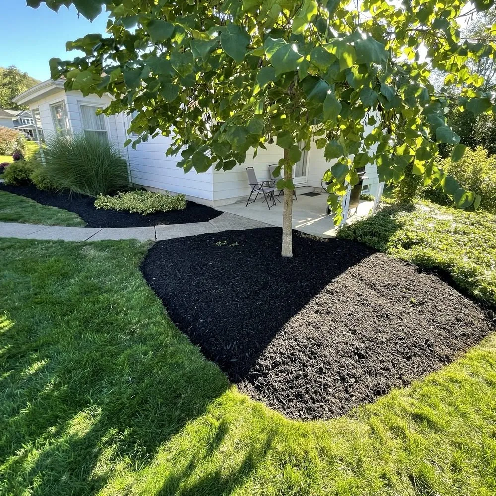 Trusted yard cleanup service for beautiful yards across Buford, GA - Dyer Landscaping