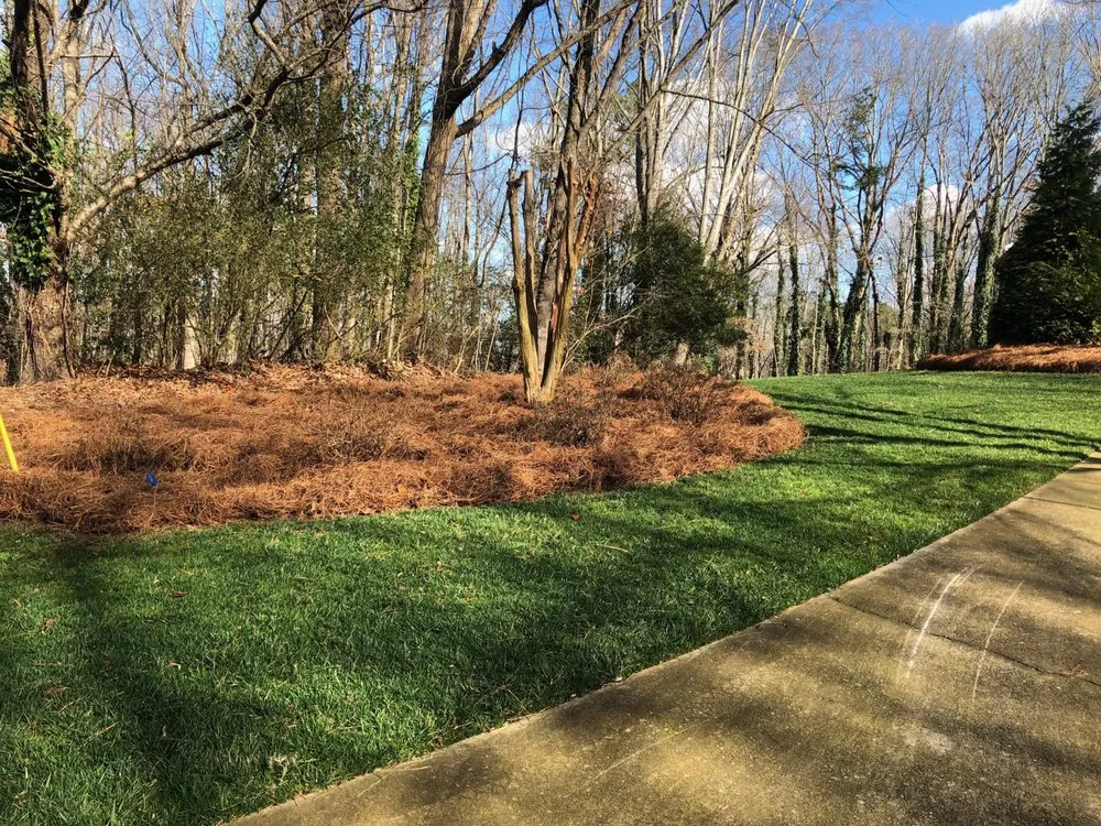 Trusted yard maintenance for residential properties across Buford, GA - Dyer Landscaping