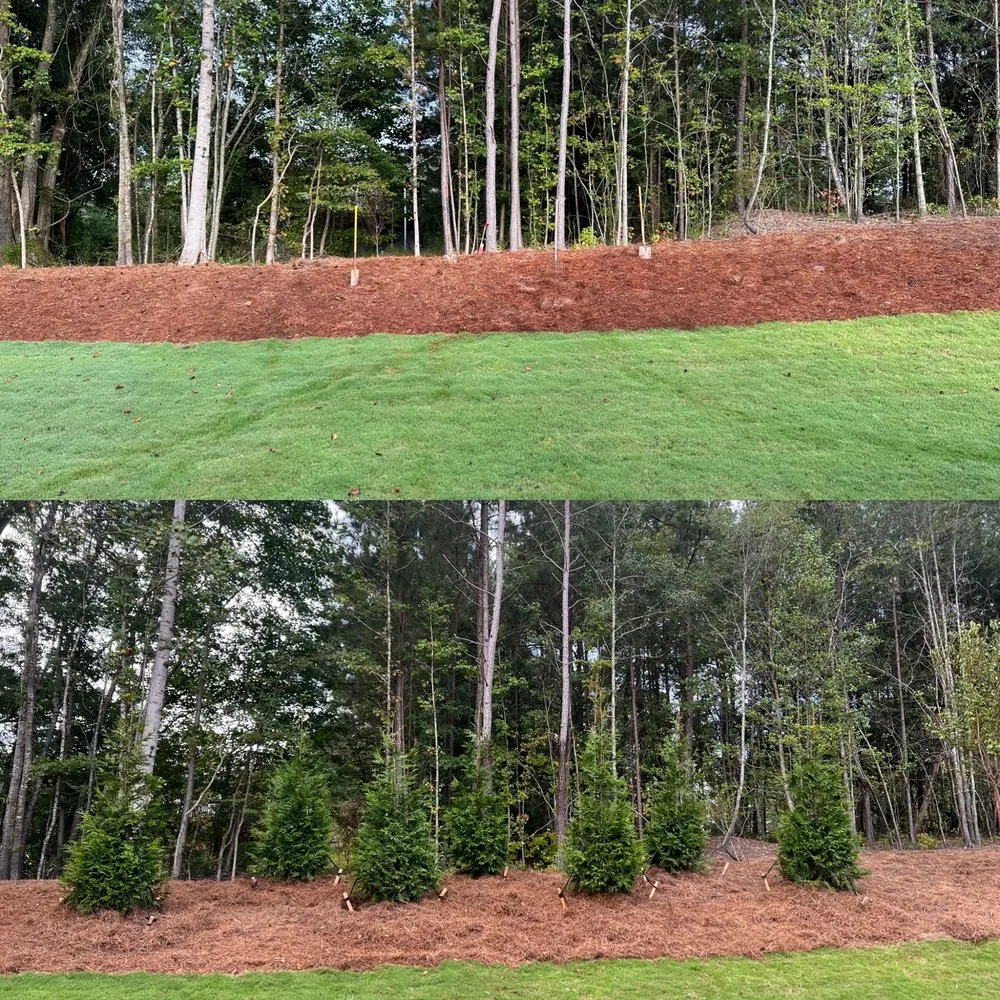 Custom landscape installation for beautiful yards in Buford, GA by Dyer Landscaping