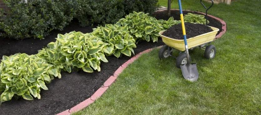 Top-rated landscaping services in Buford, GA - Dyer Landscaping