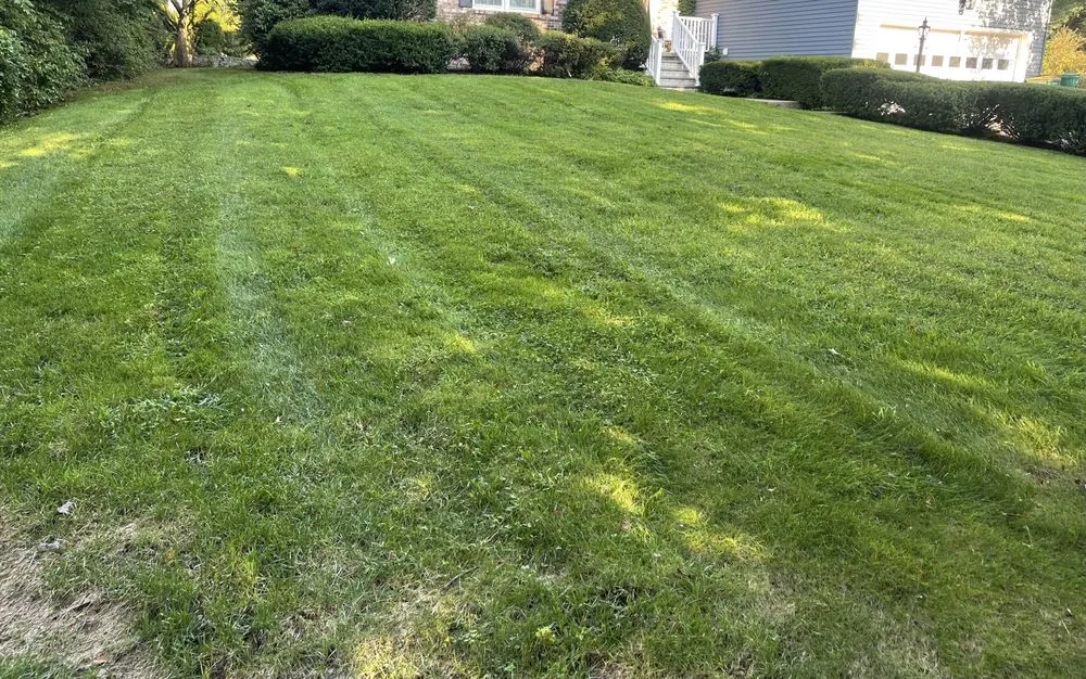 Affordable landscape design experts serving Ulster Park, NY - Dyers Groundskeeping Services