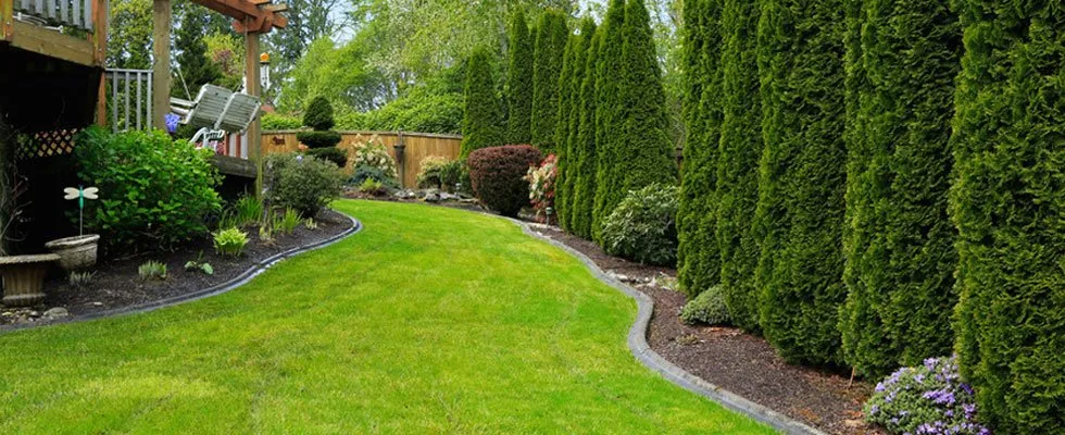 Reliable residential landscaping for outdoor upgrades in Eaton, CO by Dygert Landscape & Construction