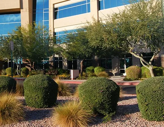 Professional residential landscaping for outdoor upgrades across Grand Haven, MI - Dykstra Landscape Management