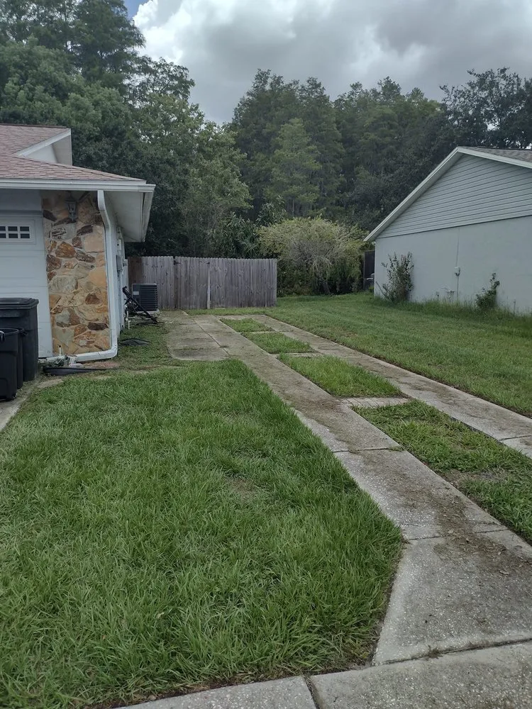 Affordable yard maintenance in Port Richey, FL by Dykstra Lawn & Garden