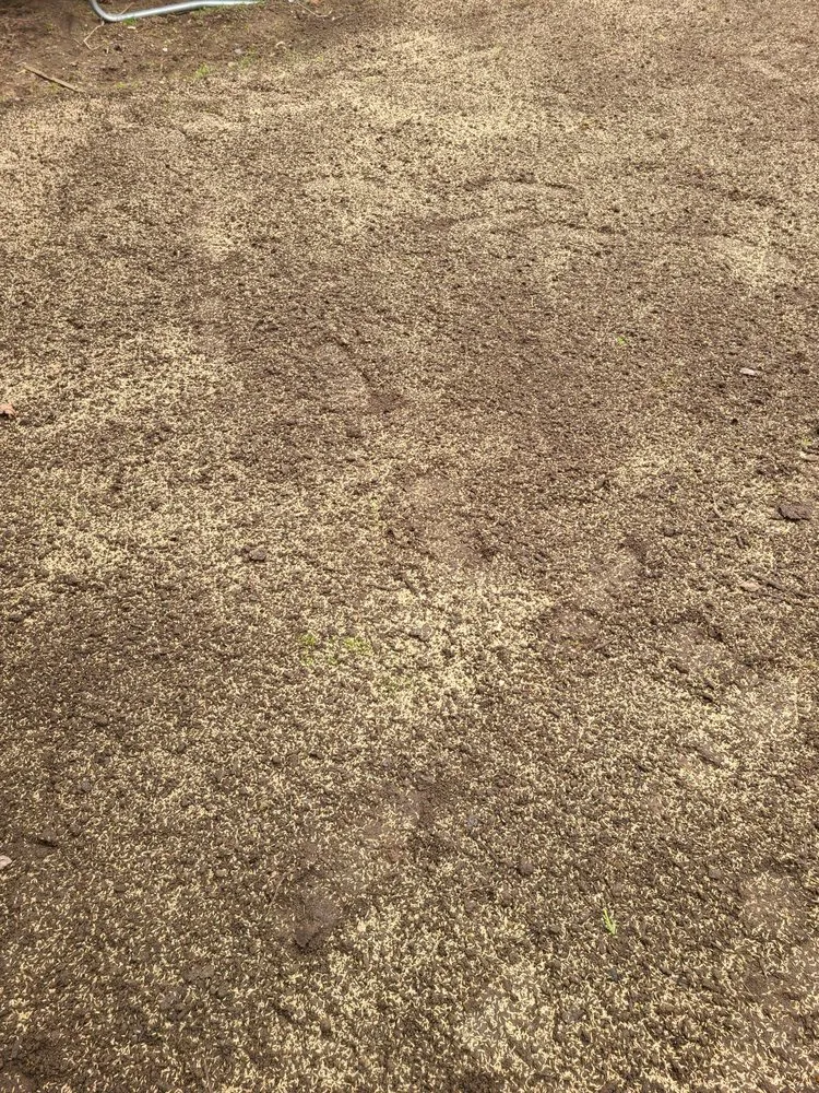 Reliable landscape design for homes in Englewood, NJ by Dylan. A Landscaping