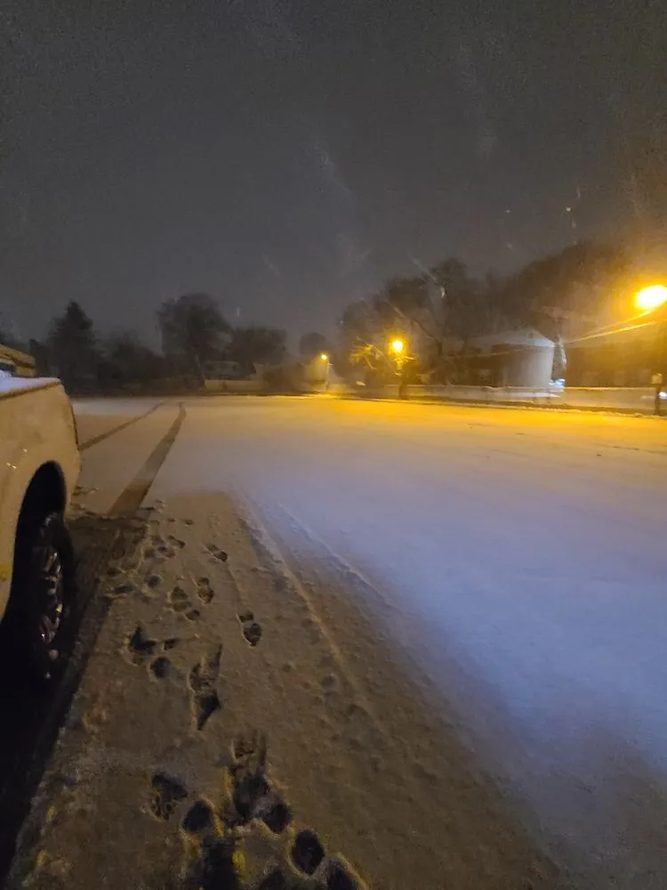 Affordable landscaping services in Englewood, NJ - Dylan. A Landscaping