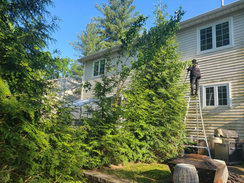 Affordable landscape design in Englewood, NJ by Dylan. A Landscaping