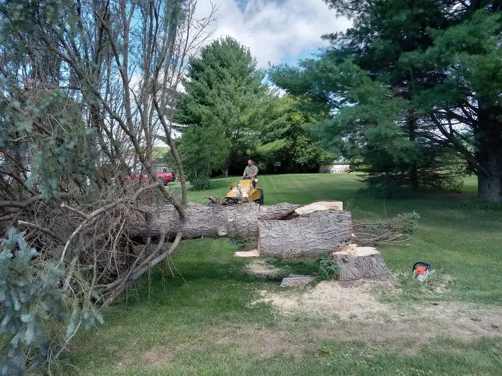 Top-rated residential landscaping near you across Bristol, VT - Dylan And Sons Property Maintenance