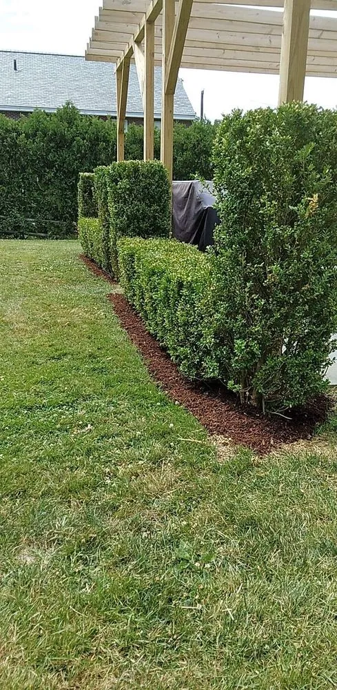 Custom yard maintenance experts serving Bristol, VT - Dylan And Sons Property Maintenance