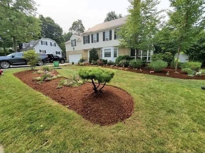 Trusted yard cleanup service in Bristol, VT - Dylan And Sons Property Maintenance