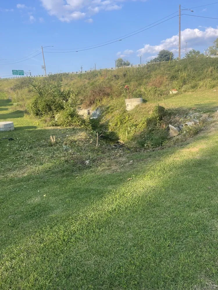 Custom yard cleanup service in Winston-Salem, NC by Dylan Jones