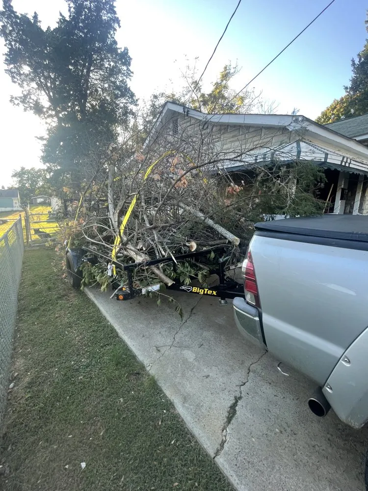 Affordable garden landscaping for year-round maintenance in Winston-Salem, NC by Dylan Jones