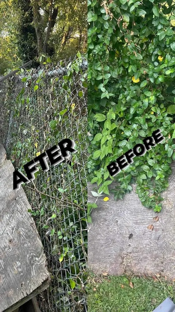 Trusted outdoor landscaping experts serving East Brunswick, NJ - Dylan Landscaping