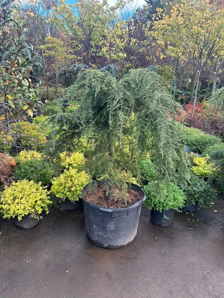 Trusted landscape installation for residential properties in East Brunswick, NJ by Dylan Landscaping