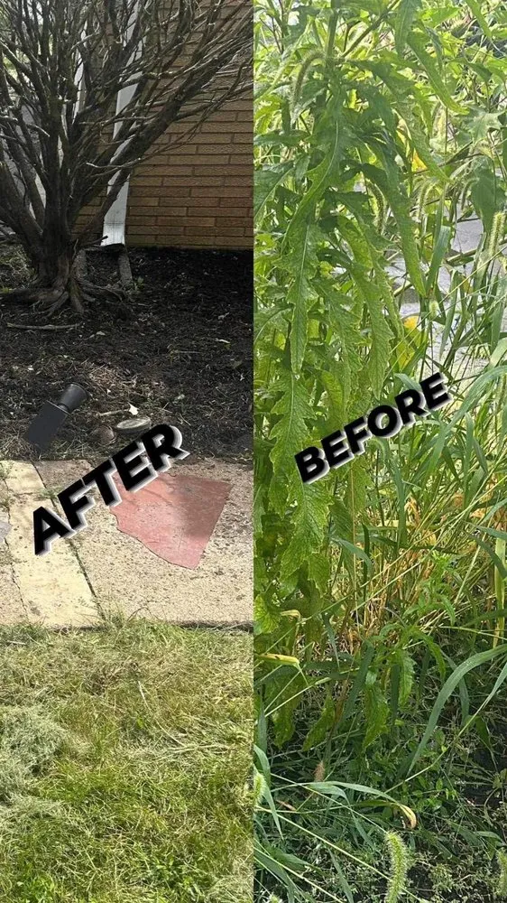 Trusted lawn mowing service in East Brunswick, NJ - Dylan Landscaping