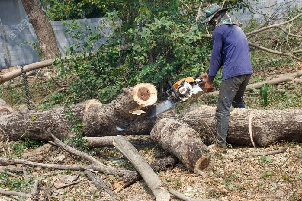 Affordable landscaping services near you in East Brunswick, NJ by Dylan Landscaping