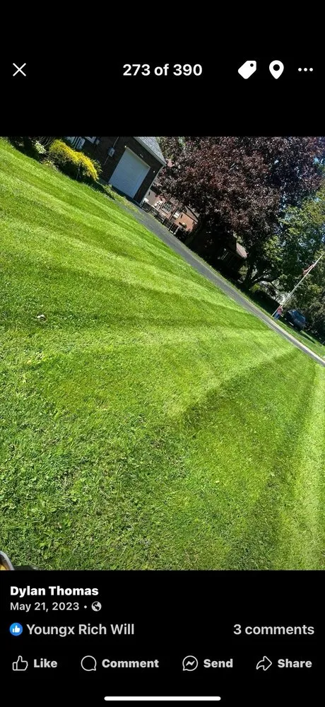 Reliable lawn care service experts serving New Castle, PA - Dylan Thomas