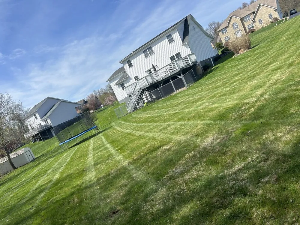 Custom yard cleanup service experts serving New Castle, PA - Dylan Thomas