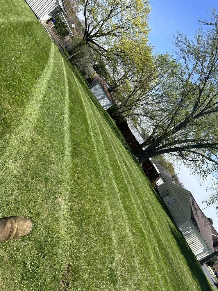 Trusted garden landscaping in New Castle, PA - Dylan Thomas