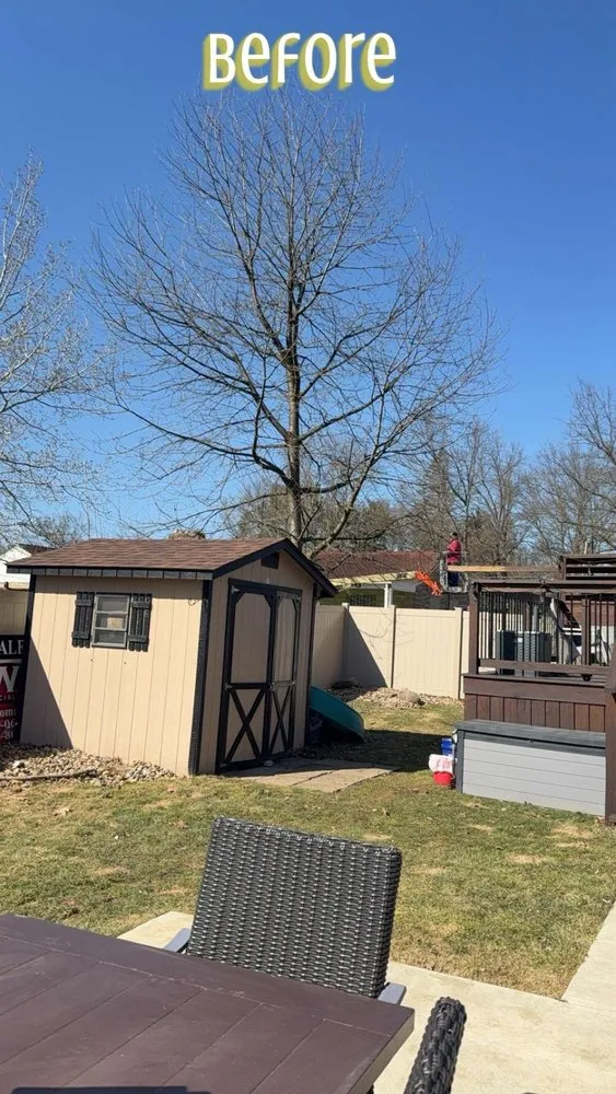 Expert landscaping services experts serving New Castle, PA - Dylan Thomas