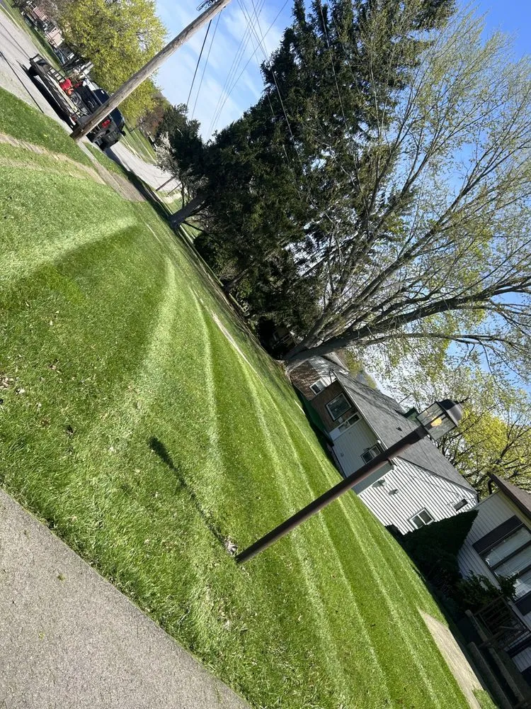 Local outdoor landscaping with custom design in New Castle, PA by Dylan Thomas