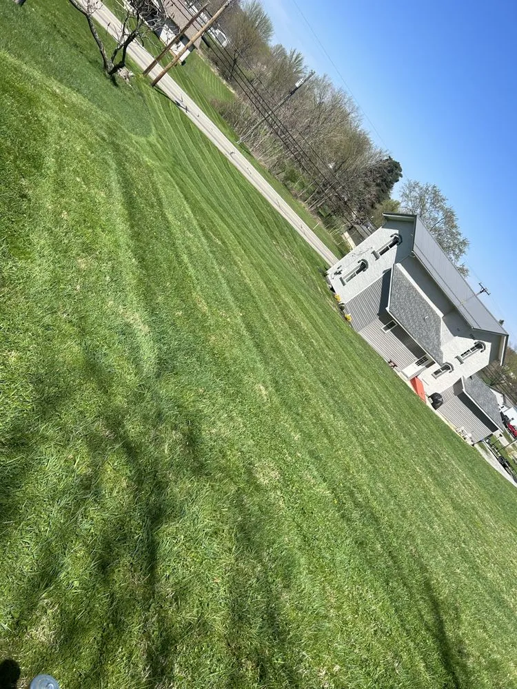 Affordable yard cleanup service with custom design in New Castle, PA by Dylan Thomas