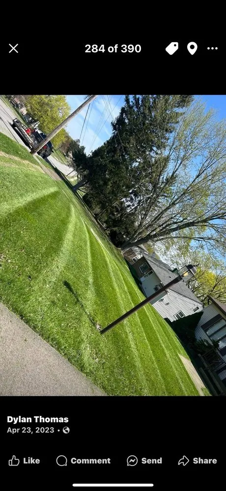 Top-rated residential landscaping experts serving New Castle, PA - Dylan Thomas