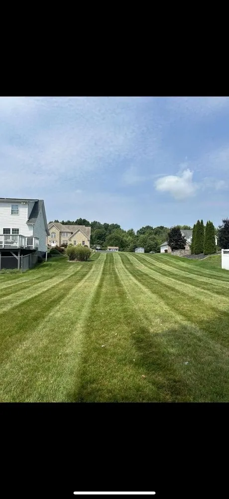 Local landscaping services for homes across New Castle, PA - Dylan Thomas