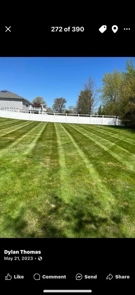 Top-rated yard cleanup service in New Castle, PA by Dylan Thomas