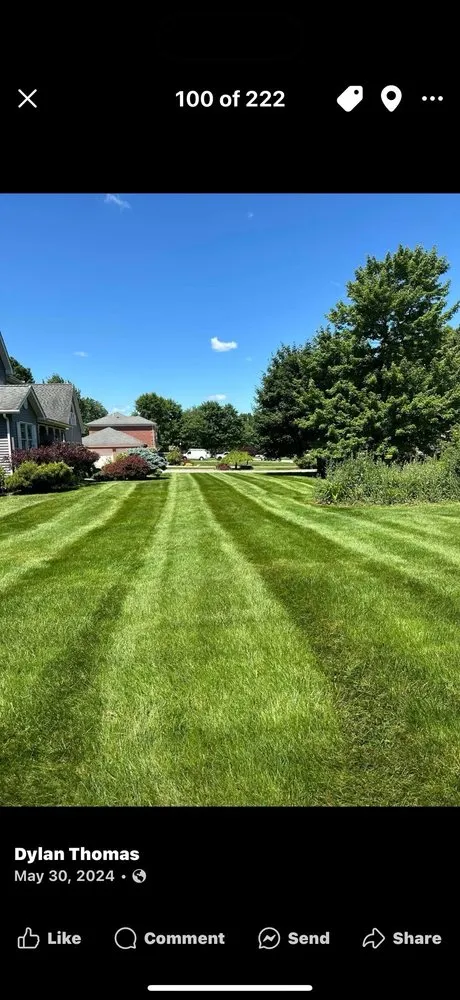 Affordable residential landscaping experts serving New Castle, PA - Dylan Thomas