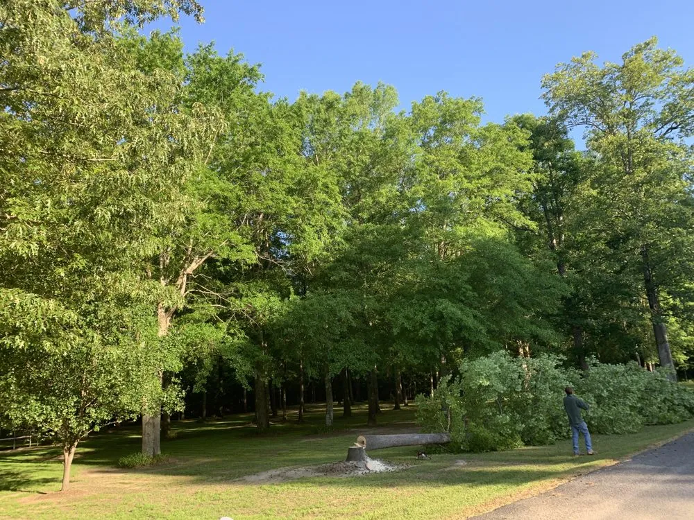 Reliable yard cleanup service experts serving Little Rock, AR - Dylan Tree Service